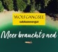 Wolfgangsee - Meer braucht's ned